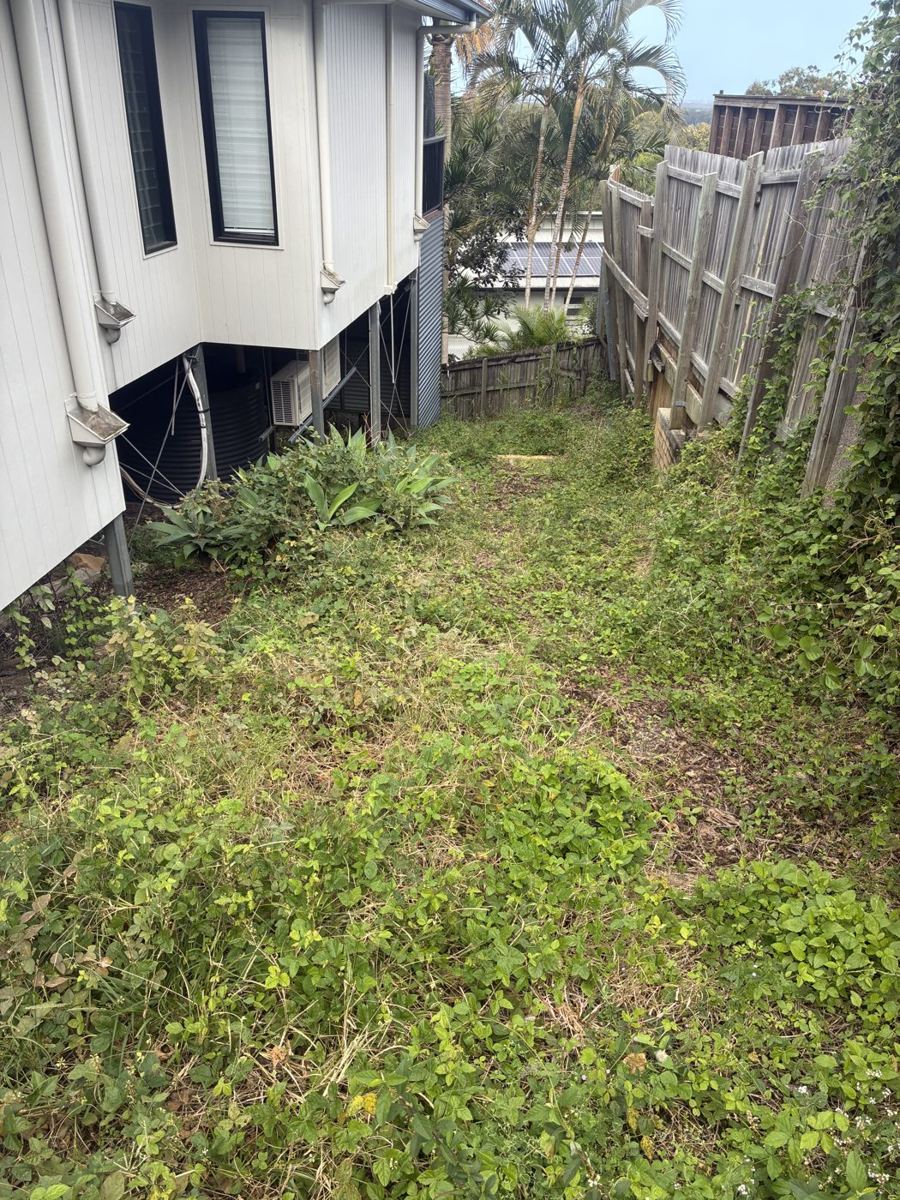 Overgrown garden before maintenance, Buderim